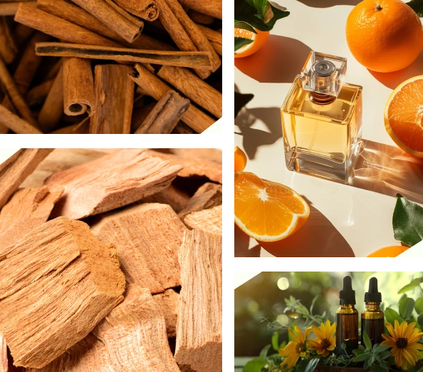 Paschim Fragrances & Flavours