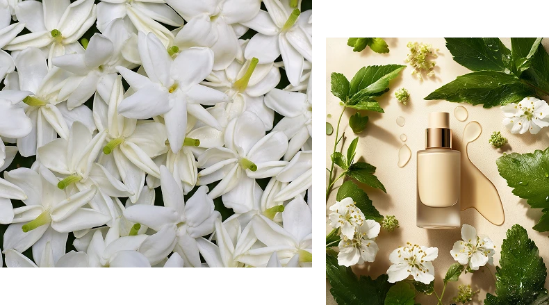 Paschim Fragrances & Flavours