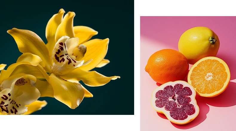 Paschim Fragrances & Flavours